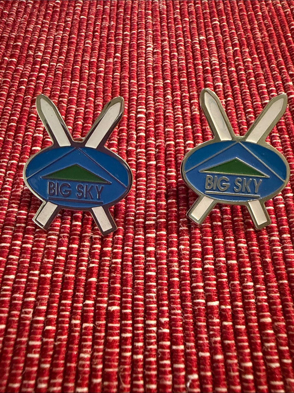 Big Sky Blue and White Ski Pin Pair